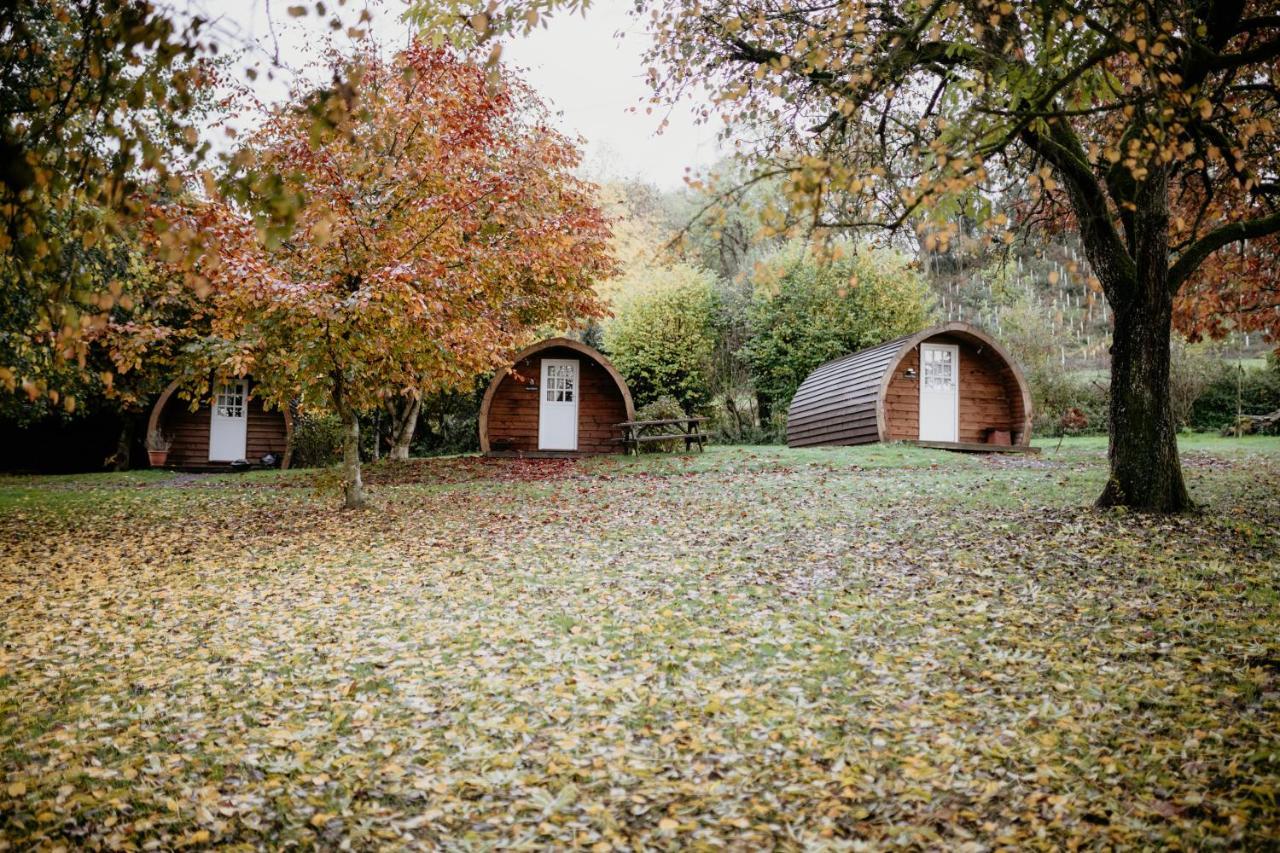 Caplor Glamping & Lodges هيريفورد المظهر الخارجي الصورة